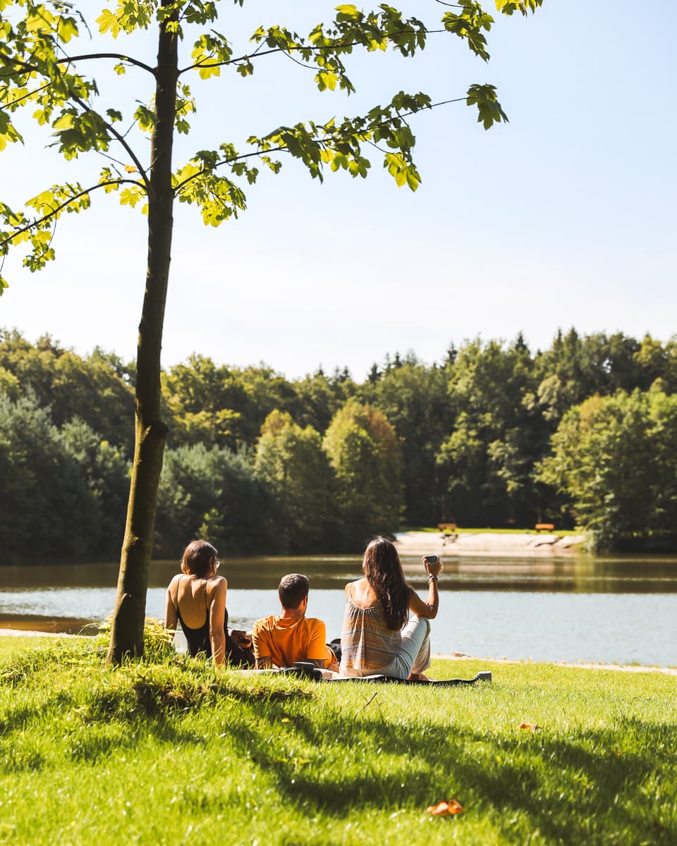 Ferienwohnung in Ostfriesland - Forsthaus Gödens - See