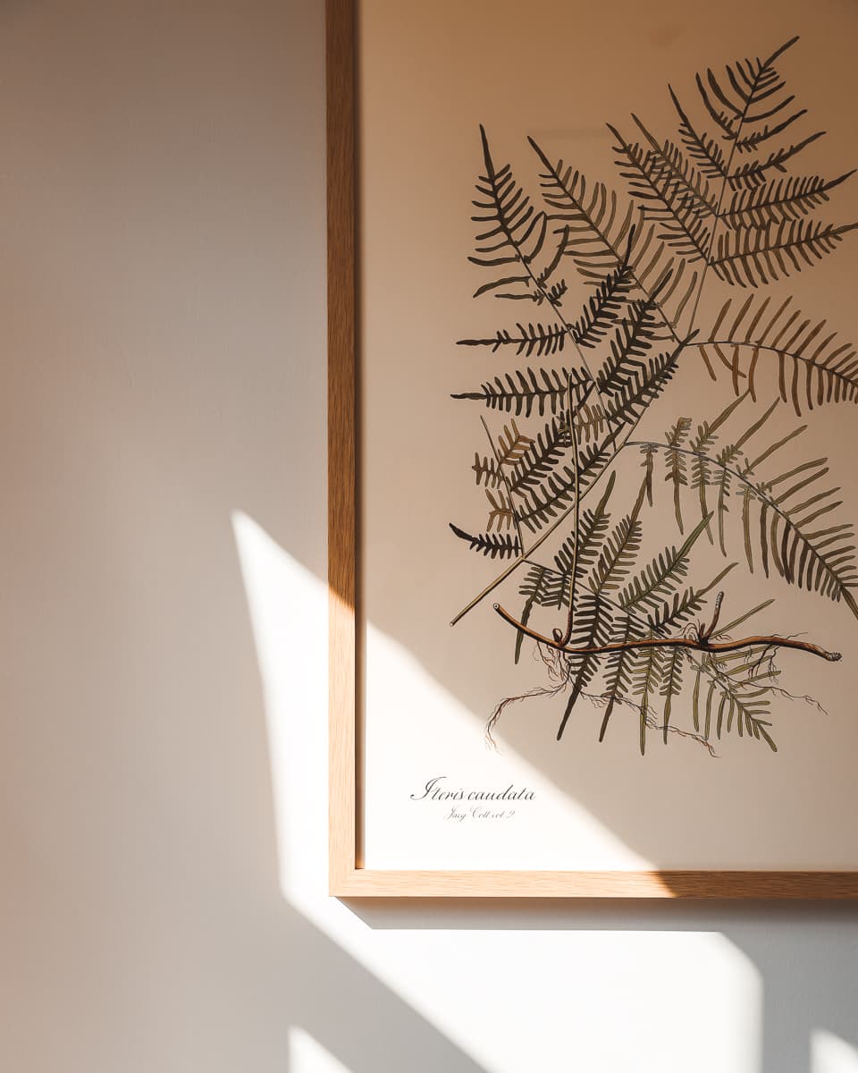 Ferienwohnung in Ostfriesland - Forsthaus Gödens - Bilder