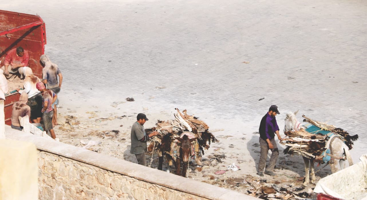 Lieferung von Tierhaut im Gerberviertel von Fes