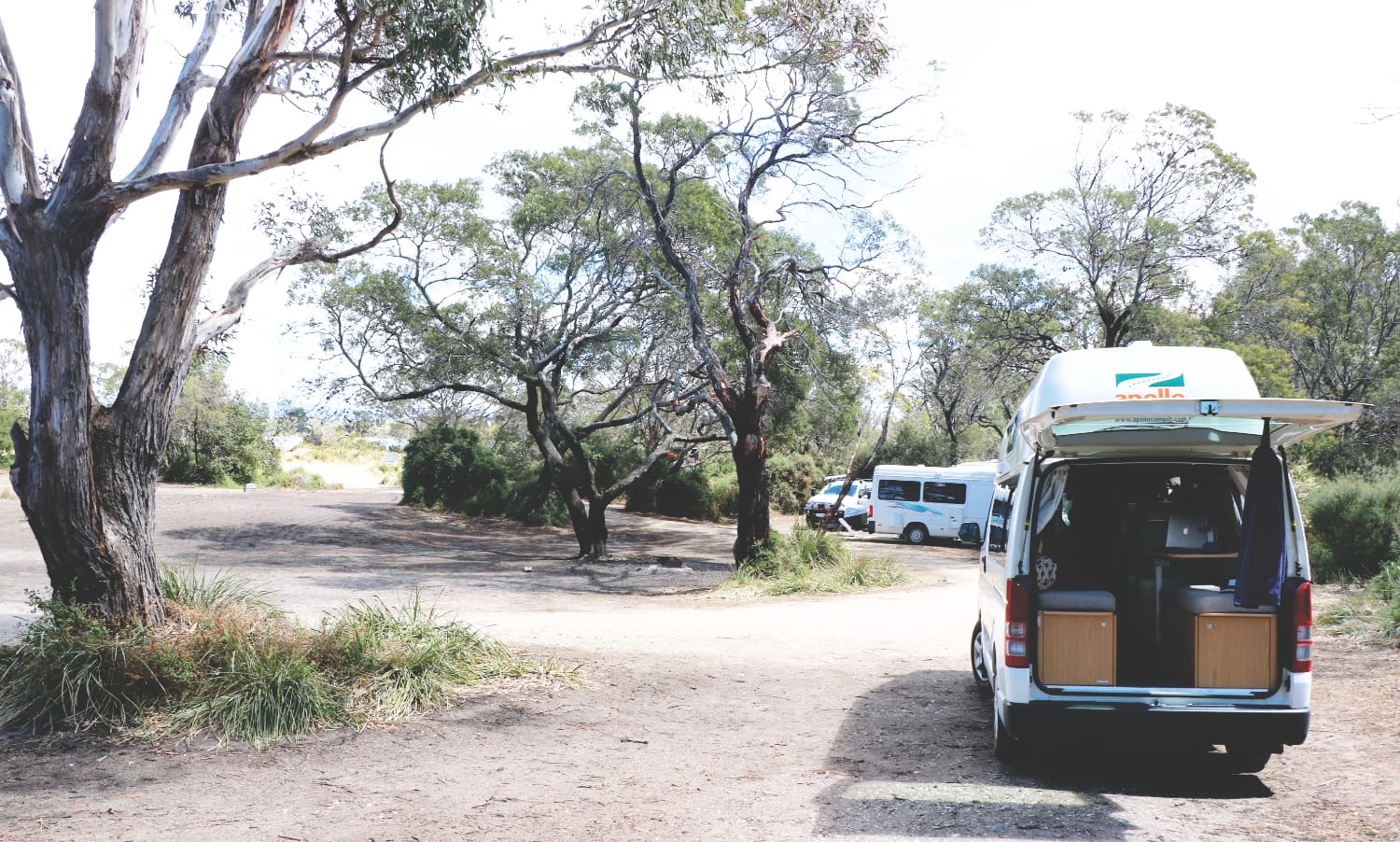 Tasmanien Campsite: Freycinet Nationalpark - River and Rocks