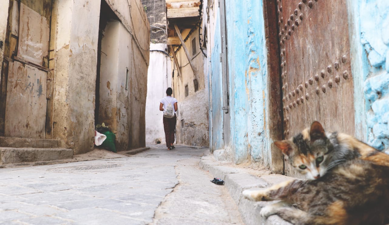 Reisebericht Fes: Planlos in Marokko