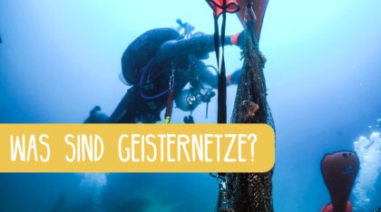Geisternetze: Infos, Tipps und Lösungen