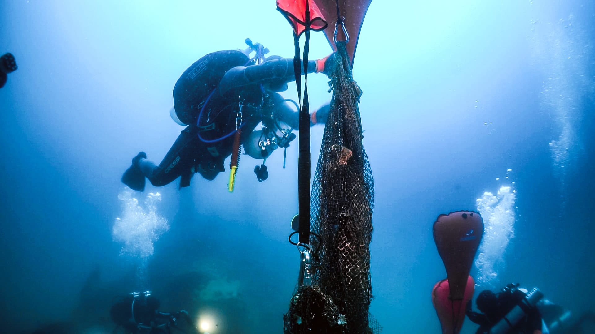 Geisternetze: Infos, Tipps und Lösungen Geisternetze: Infos, Tipps und Lösungen