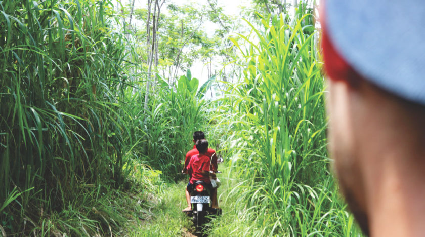 Durch die Natur in Indonesien