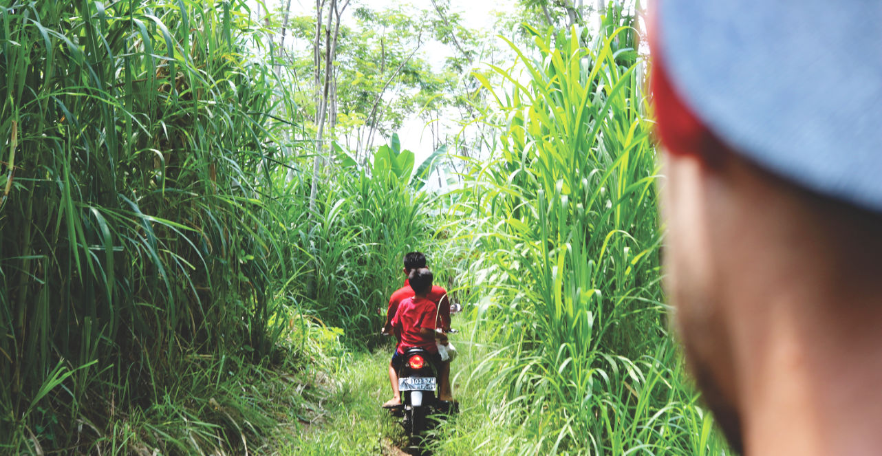 Durch die Natur in Indonesien