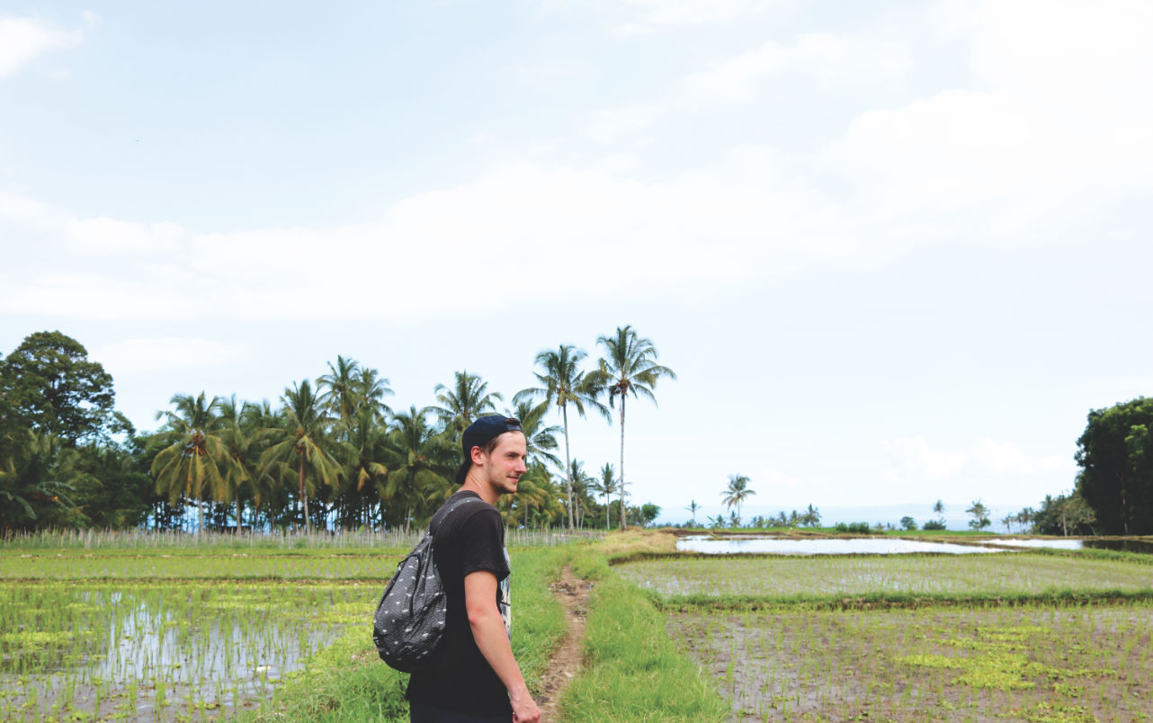 Reisfelder - direkt vor dem Dorf