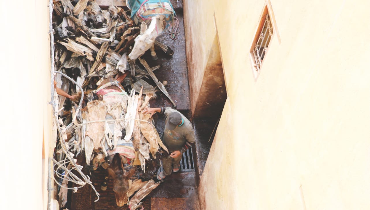 Lieferung von Tierhaut im Gerberviertel von Fes