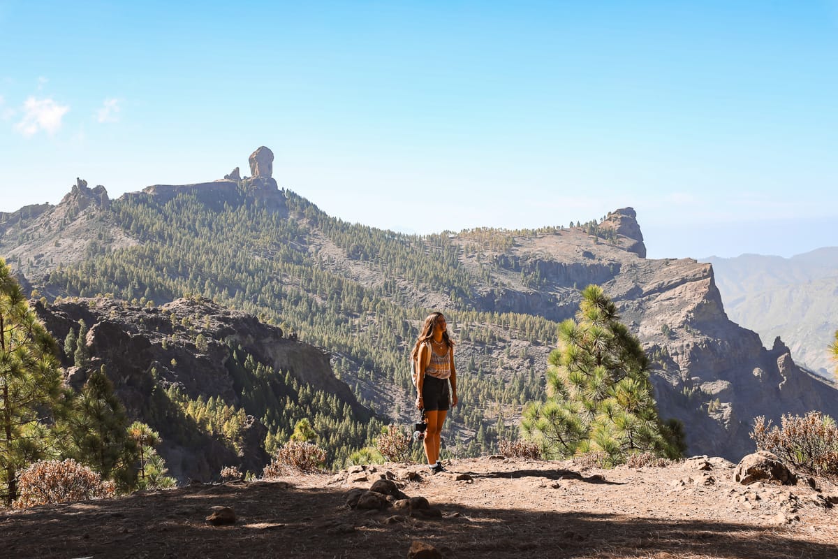 Gran Canaria Sehenswürdigkeiten - Pico de Las Nieves Wanderweg