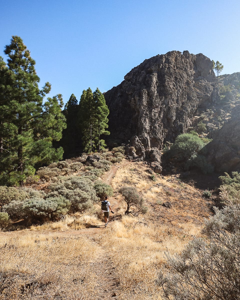 Gran Canaria Sehenswürdigkeiten - Pico de Las Nieves Wanderweg