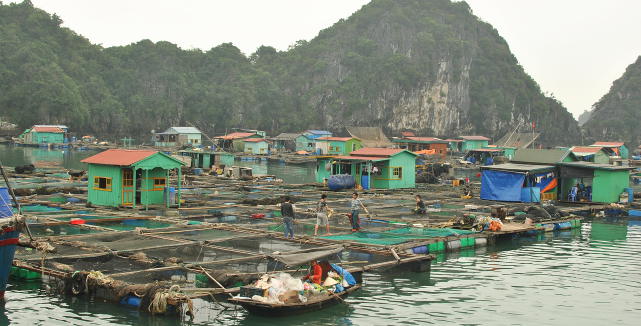 Schwimmendes Dorf in der Halong Bucht Schwimmendes Dorf in der Halong Bucht
