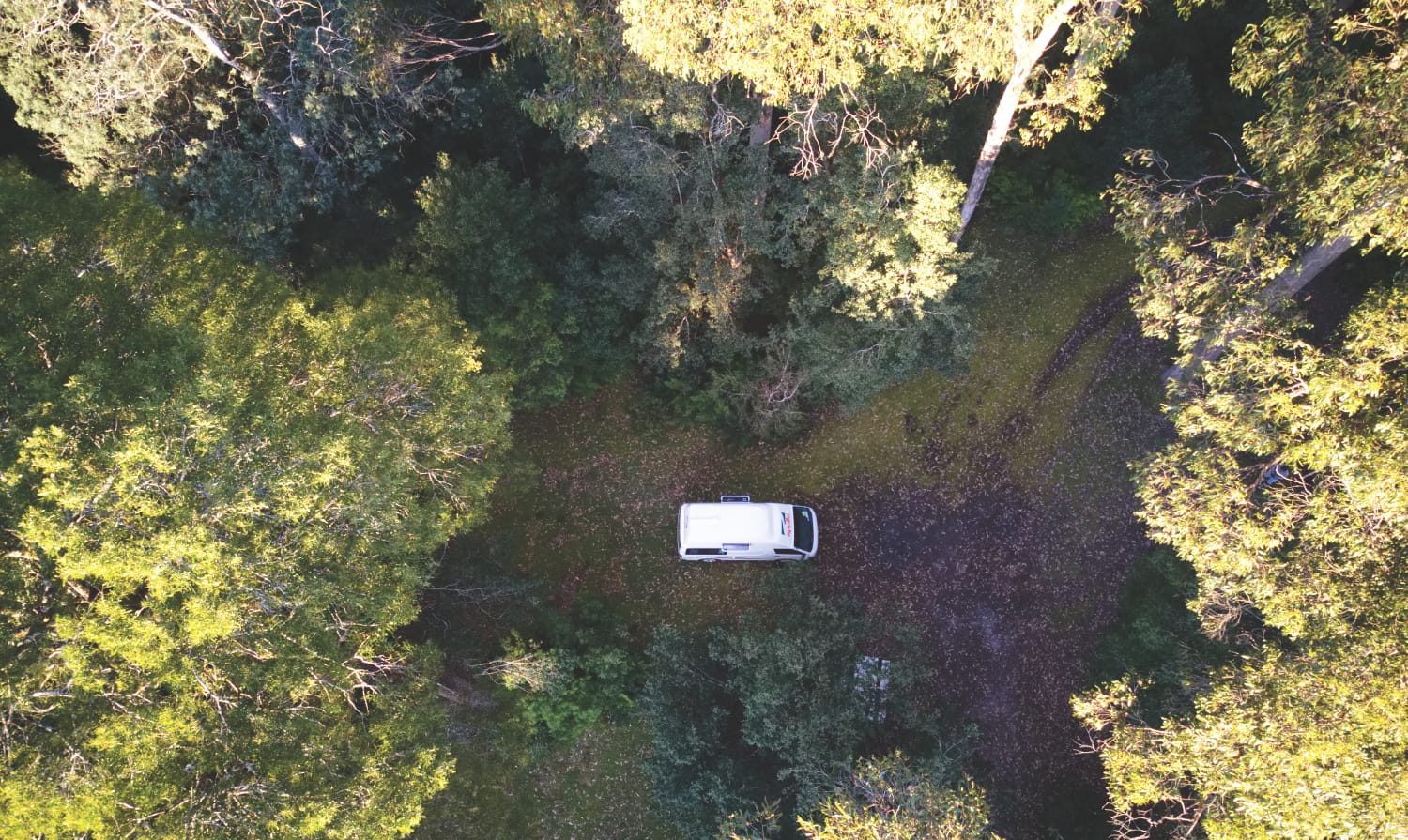 Tasmanien Campsite: Hellyer Gorge Reserve