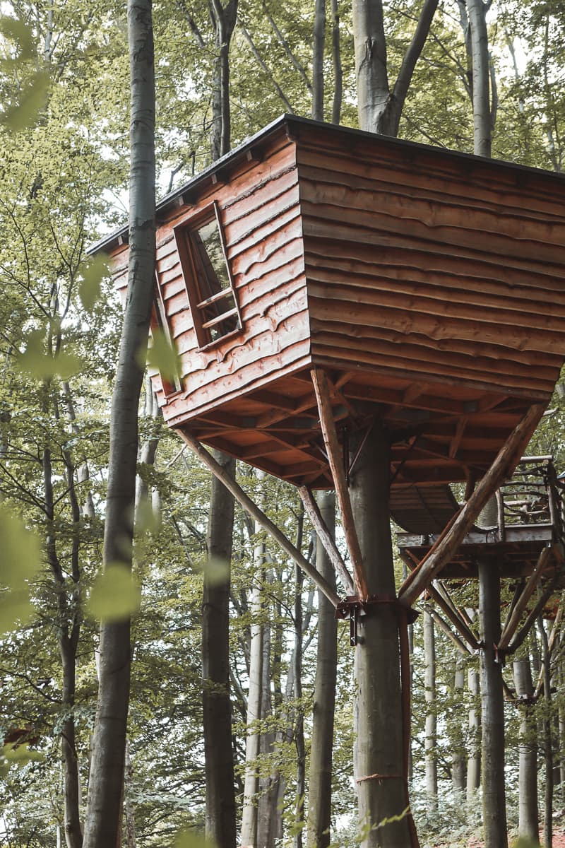 Hessen - Unterkunft - Baumhaushotel - Robins Nest Hessen - Unterkunft - Baumhaushotel - Robins Nest