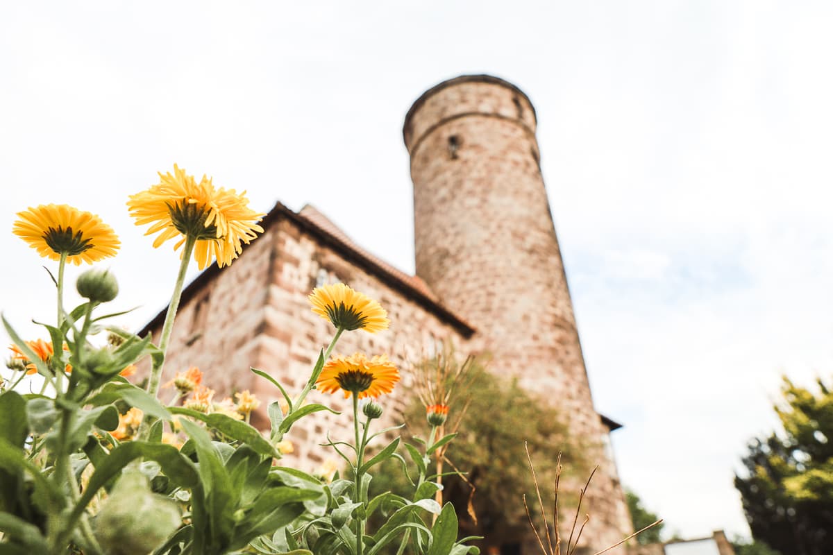 Hessen - Ausflugsziel & Sehenswürdigkeiten - Witzenhausen - Wanderung Hessen - Ausflugsziel & Sehenswürdigkeiten - Witzenhausen - Burg
