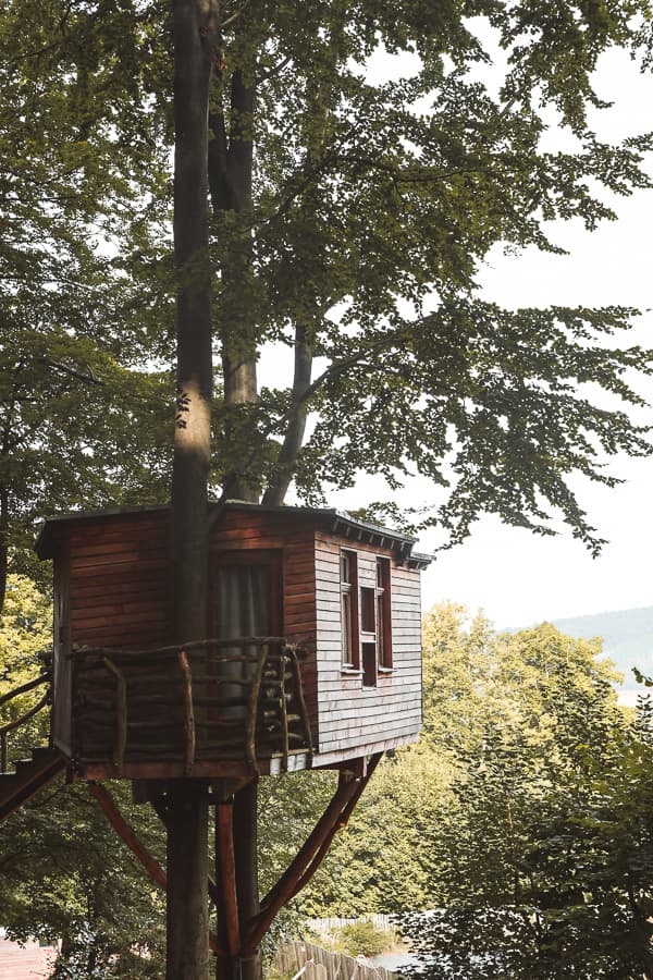 Hessen - Baumhaushotel Robins Nest