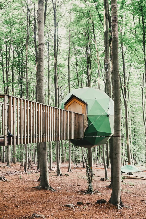 Hessen - Baumhaushotel Robins Nest