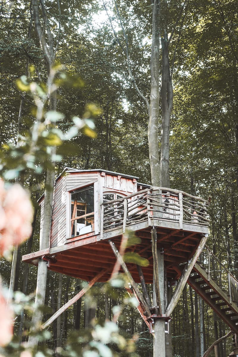 Hessen - Unterkunft - Baumhaushotel - Robins Nest Hessen - Unterkunft - Baumhaushotel - Robins Nest