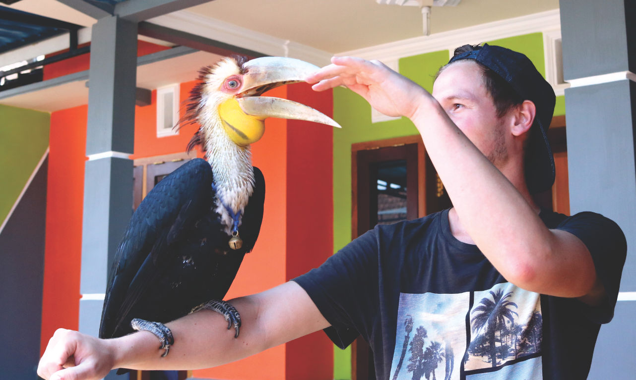 Der Hornvogel auf Daniels Arm