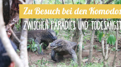 Reisebericht: zu Besuch bei den Komodos in Indonesien