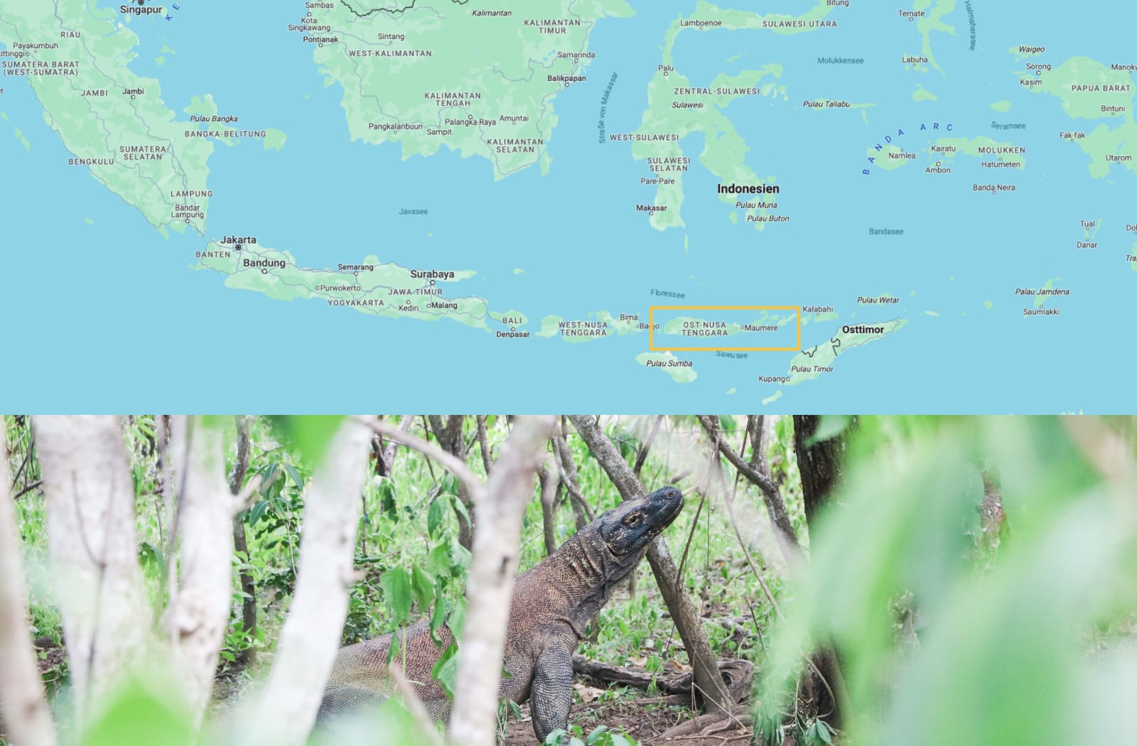 Flores auf der Karte