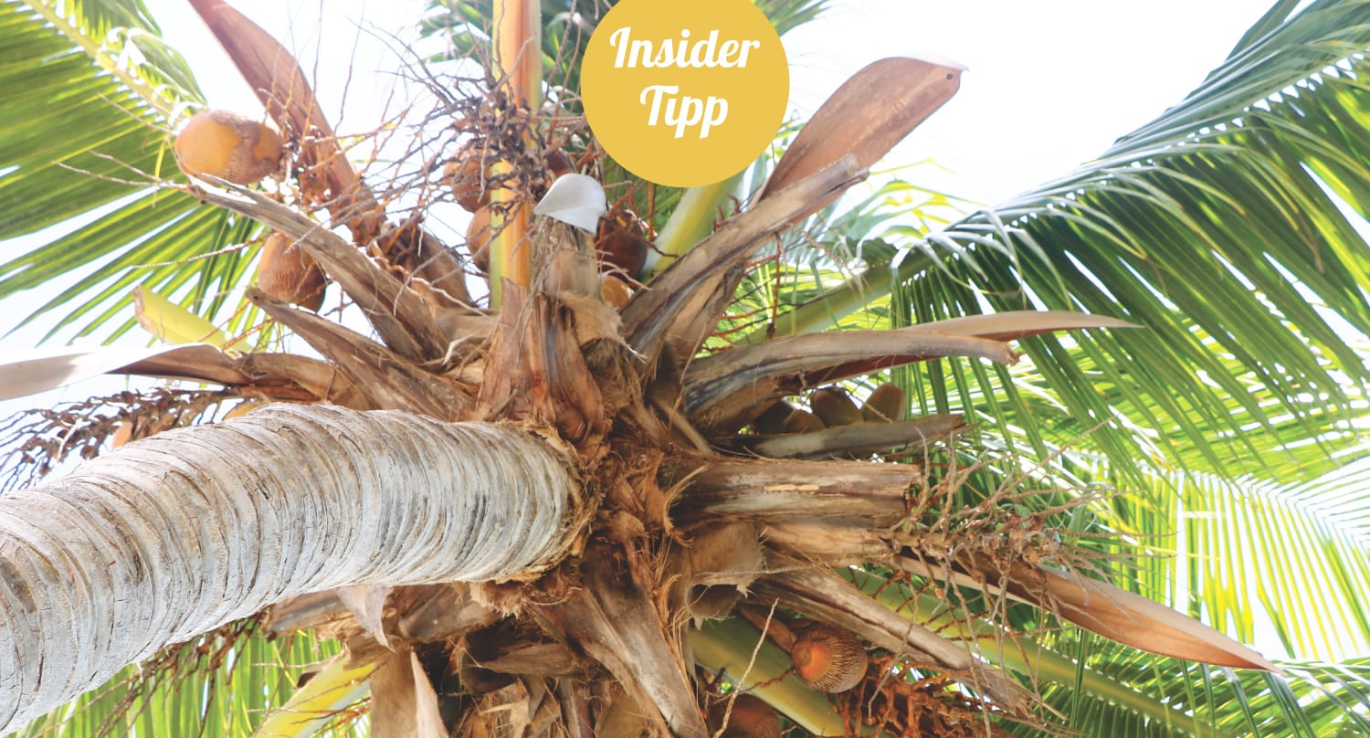 Insidertipp Belize - Honey Camp Lagoon