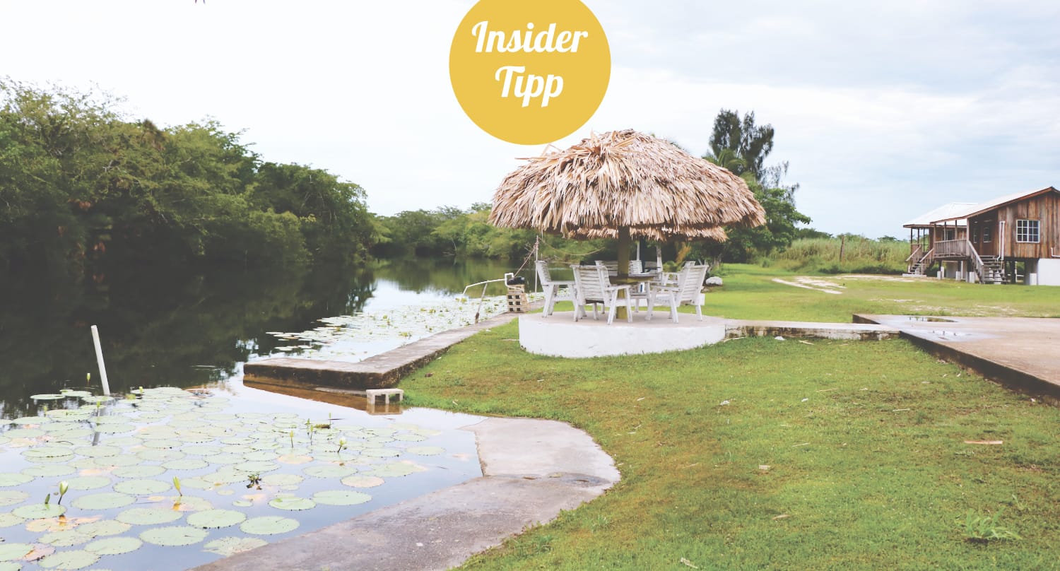 Insidertipp Belize - Krokodile in Orange Walk