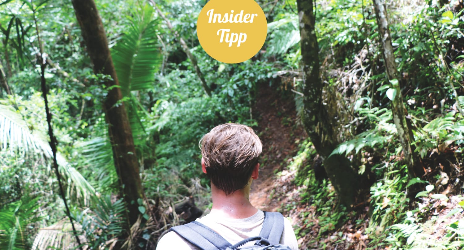 Insidertipp Belize - Trampen zum Regenwald