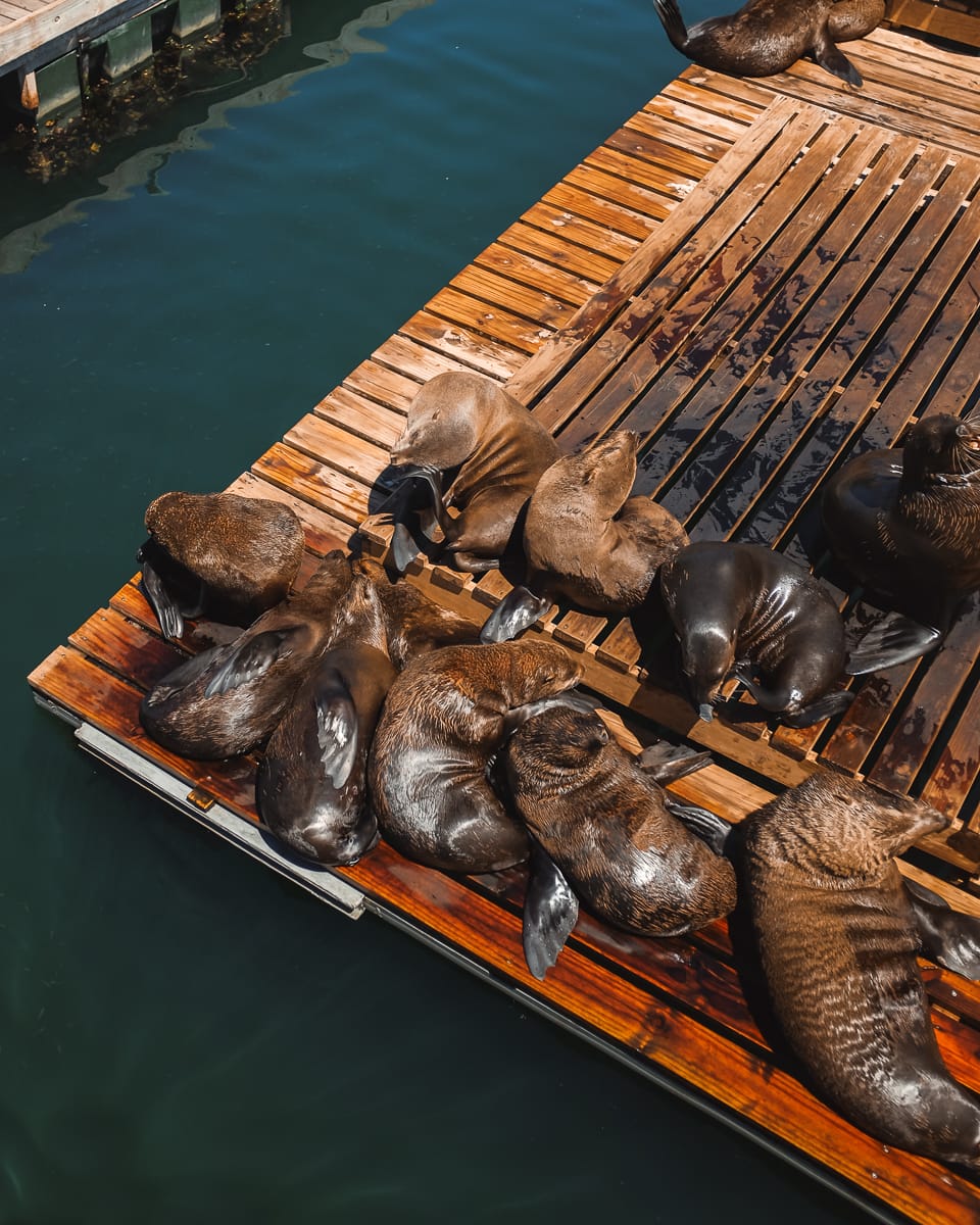 Kapstadt Sehenswürdigkeiten & Highlights - V&A Waterfront