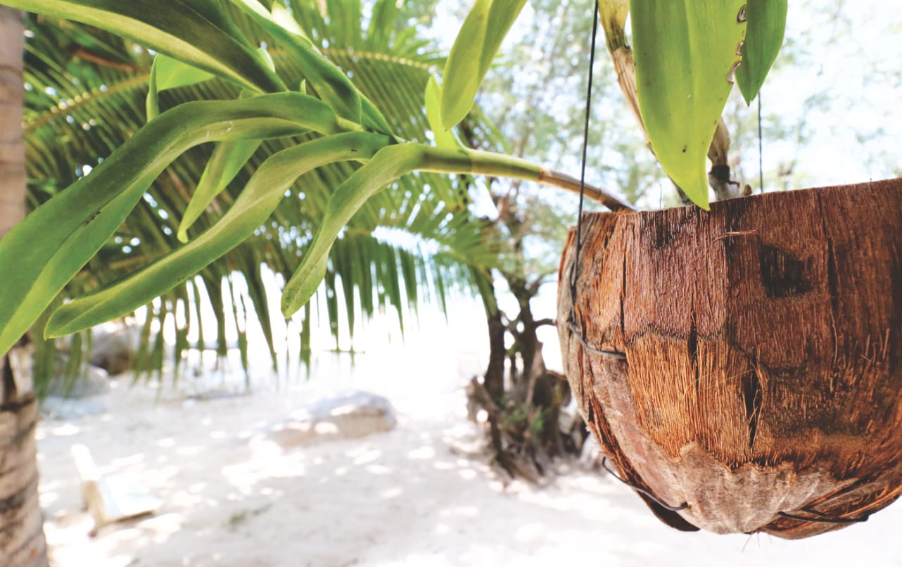 Koh Phangan Cookies Bungalow Strand