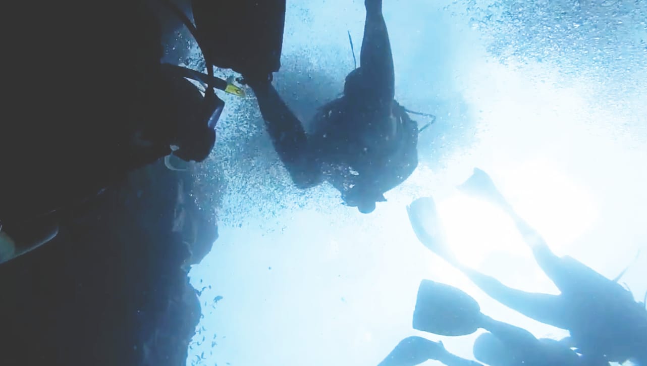 Tauchen am Sail Rock Koh Phangan