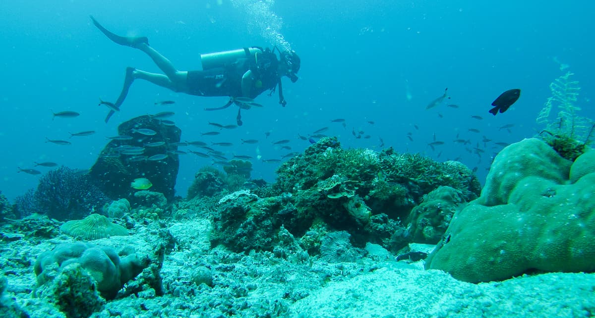 Koh Samui - Reisetipps & Sehenswürdigkeiten - Tauchen Koh Samui - Reisetipps & Sehenswürdigkeiten - Tauchen