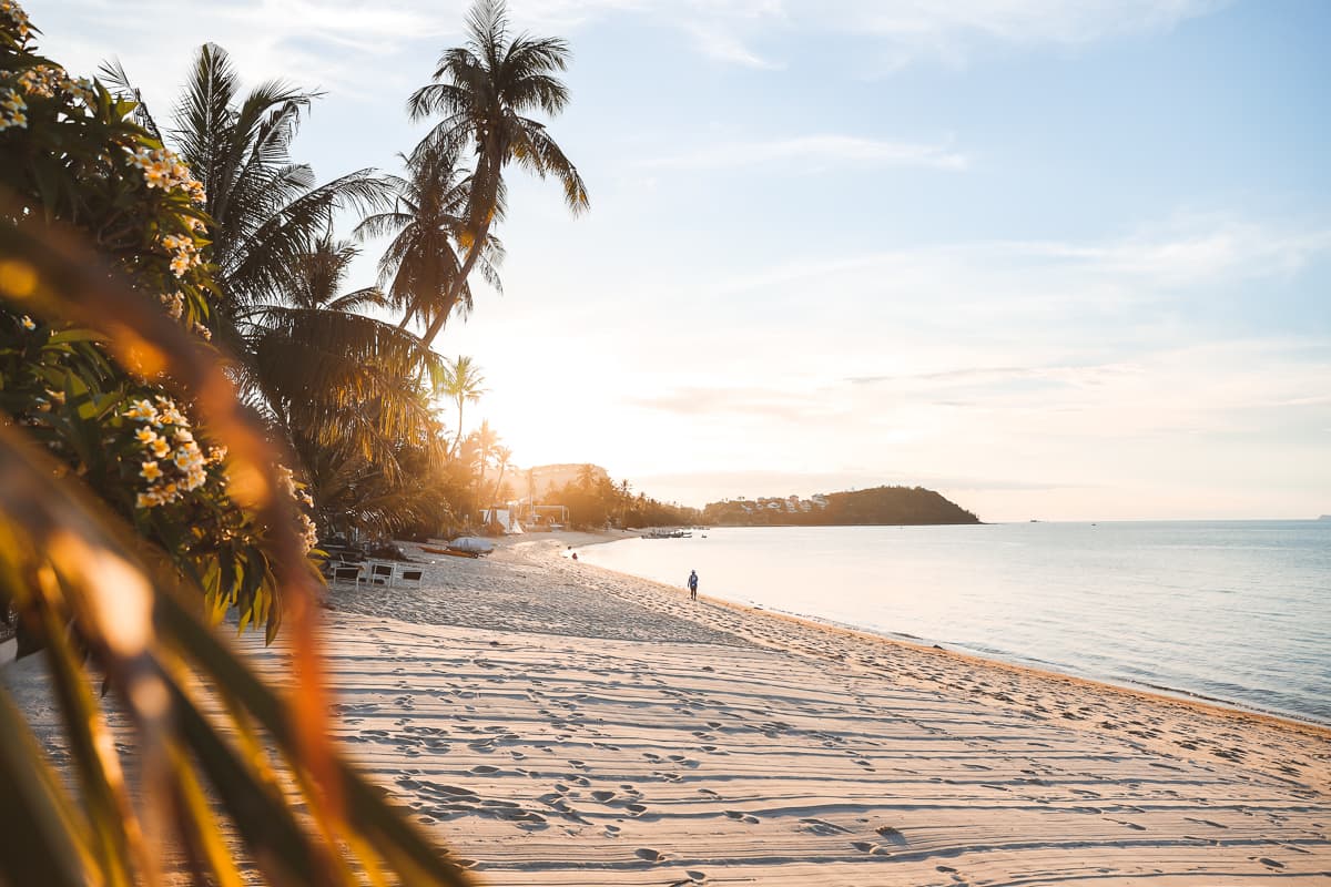 Beste Reisezeit für Koh Samui