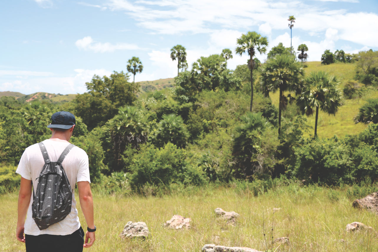 Reisebericht: Spaziergang durch Rinca Reisebericht: Spaziergang durch Rinca