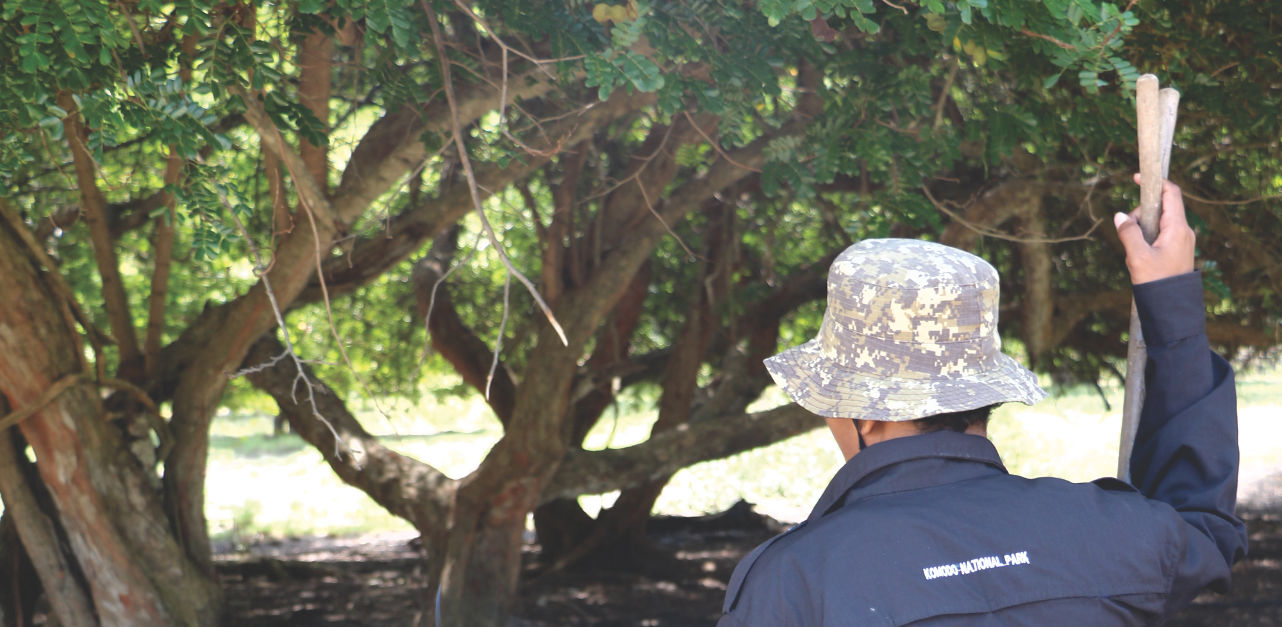 Guide auf Komodo Guide auf Komodo