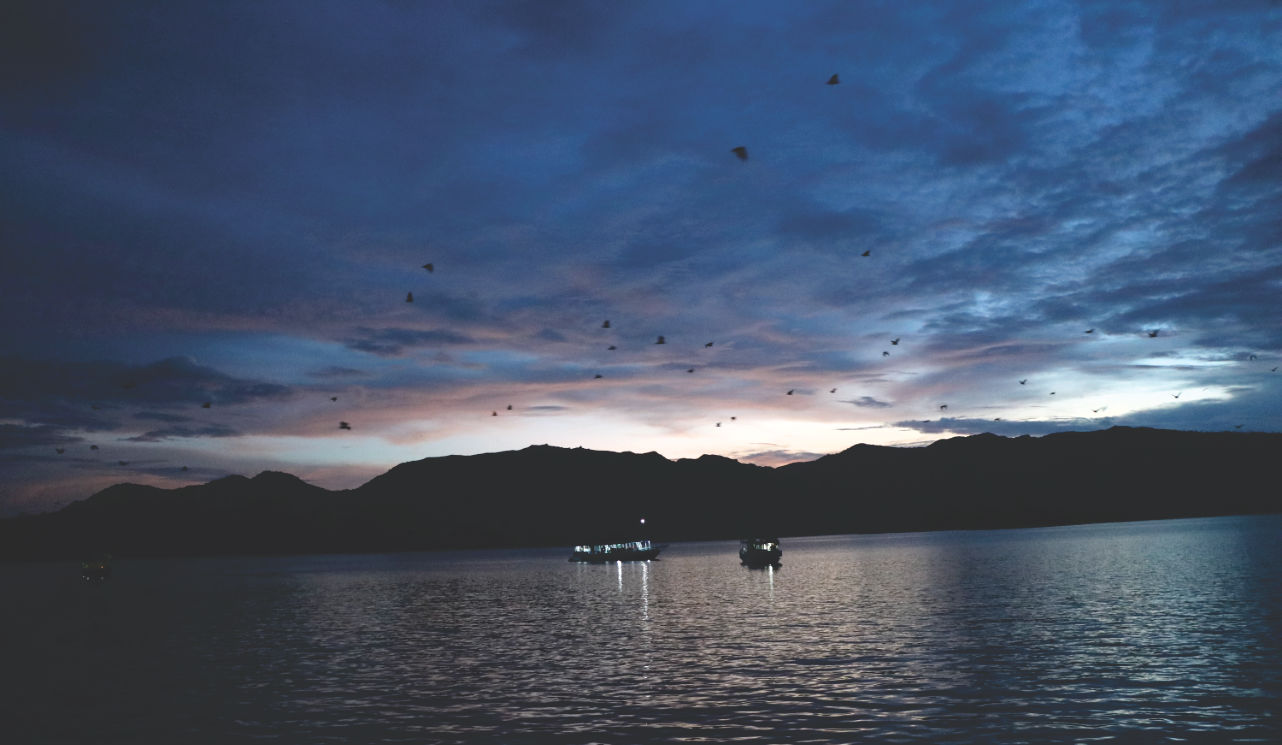 Komdo Tour abends in der Bucht Komdo Tour abends in der Bucht