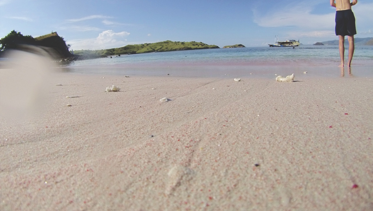 Pink Beach im Komodo Nationalpark Pink Beach im Komodo Nationalpark
