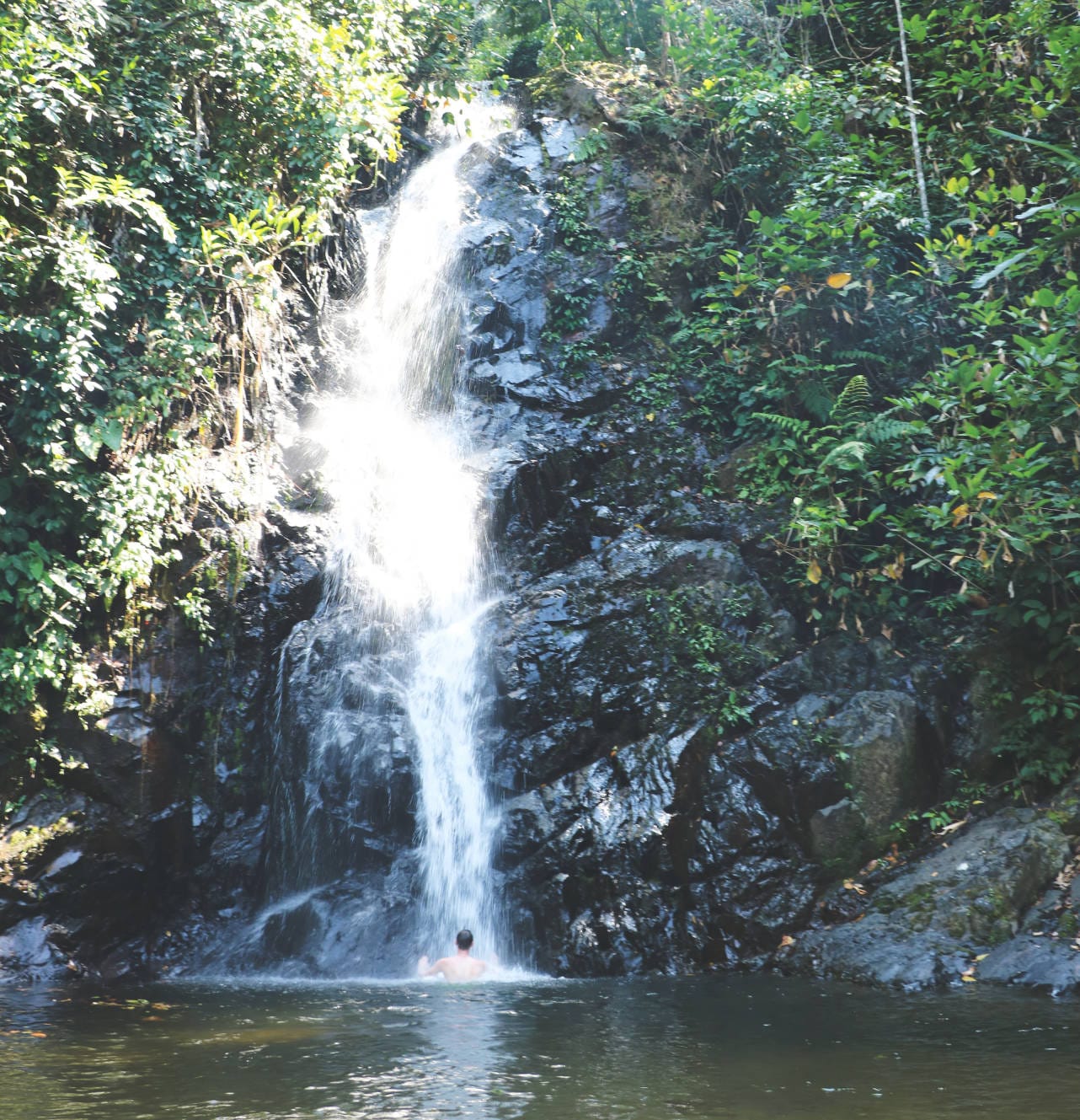 Langkawi Reisebericht: Durian Perangin Wasserfall Langkawi Reisebericht: Durian Perangin Wasserfall