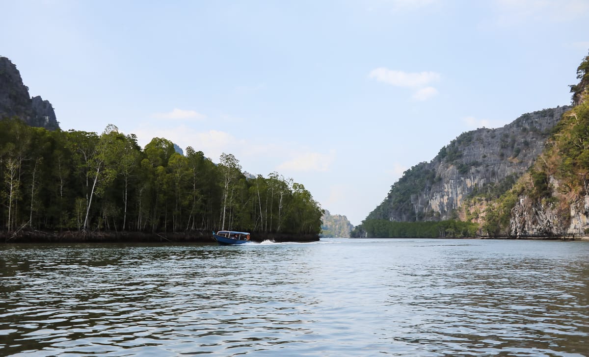 Langkawi - Sehenswürdigkeiten - Mangroven Tour
