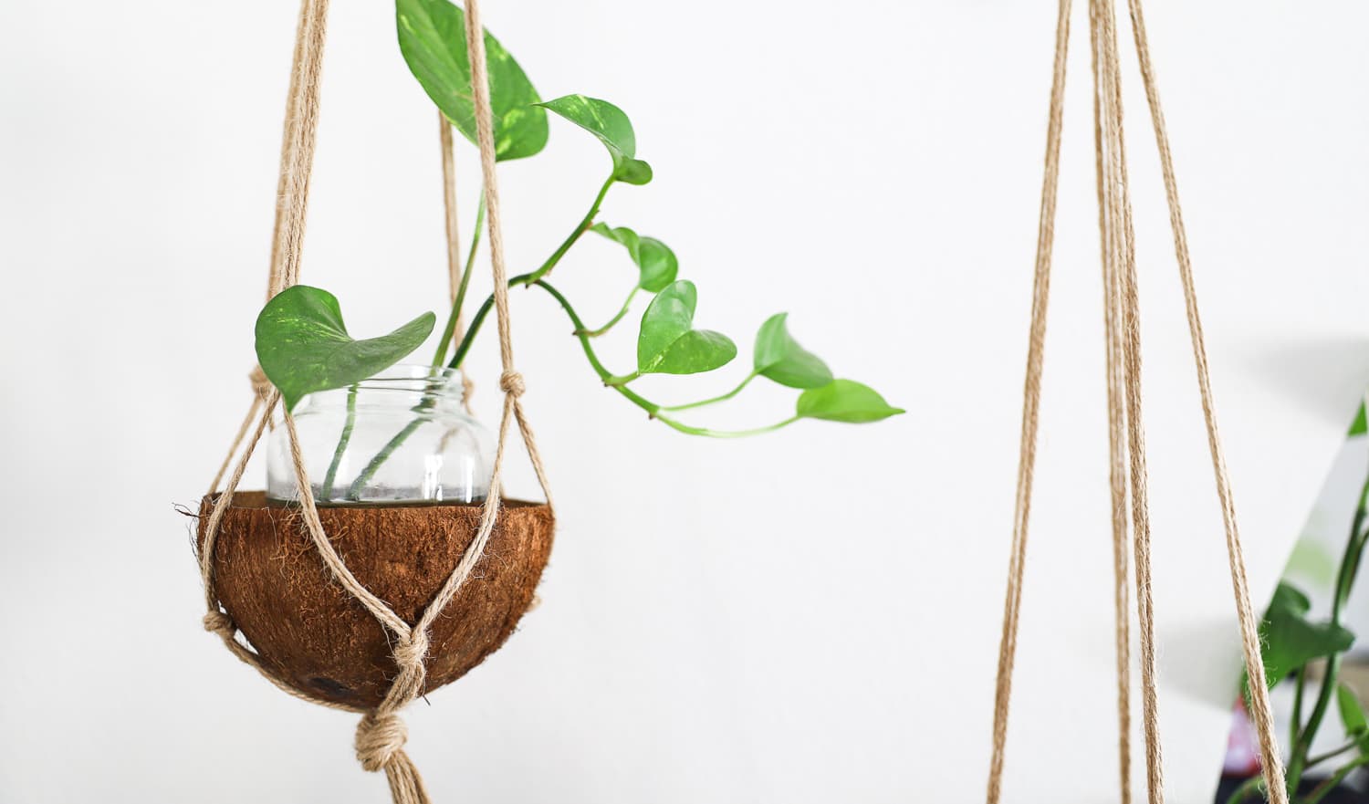 Makramee Pflanzenhänger - Kokusschale Makramee Pflanzenhänger - Kokusschale
