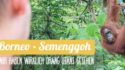 Reisebericht Malaysia: Orang Utans in Semenggoh