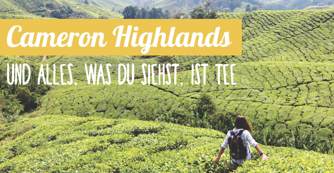 Reisebericht: Cameron Highlands in Malaysia