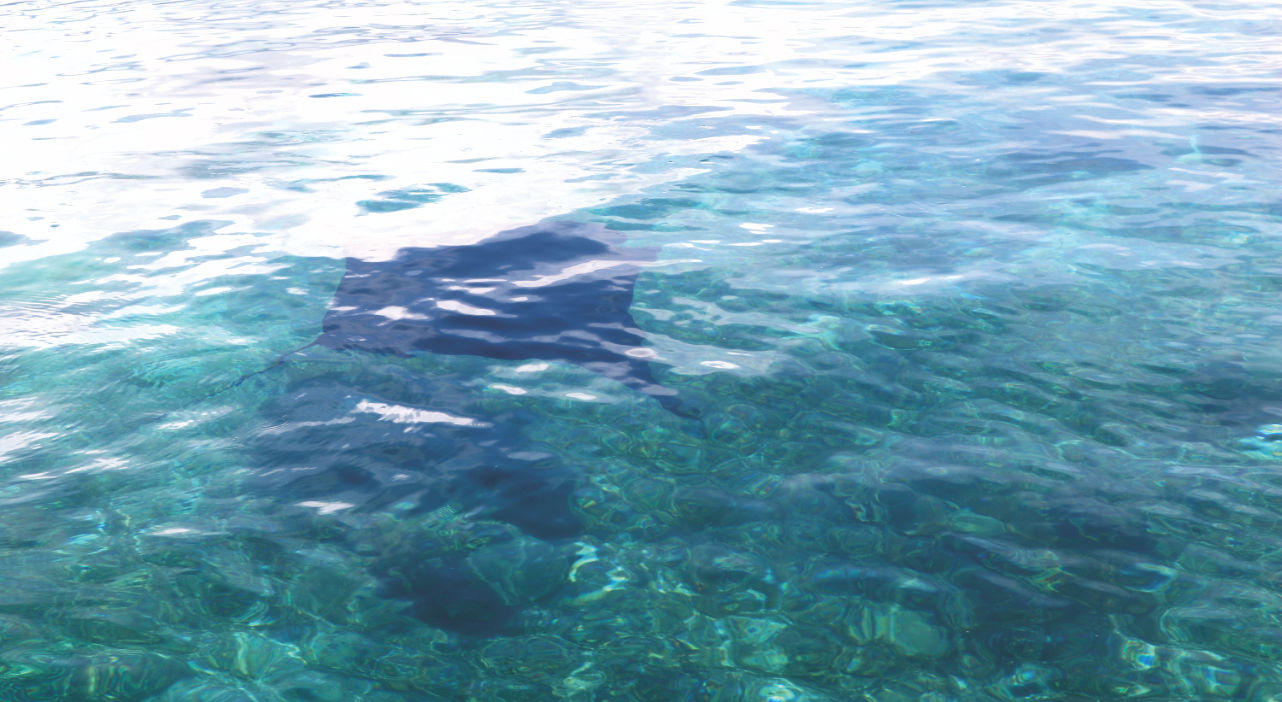 Mantapoint im Komodo Nationalpark Mantapoint im Komodo Nationalpark