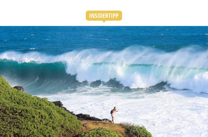 Mauritius Sehenswürdigkeiten & Insidertipps: Wasserfall 500 Pides