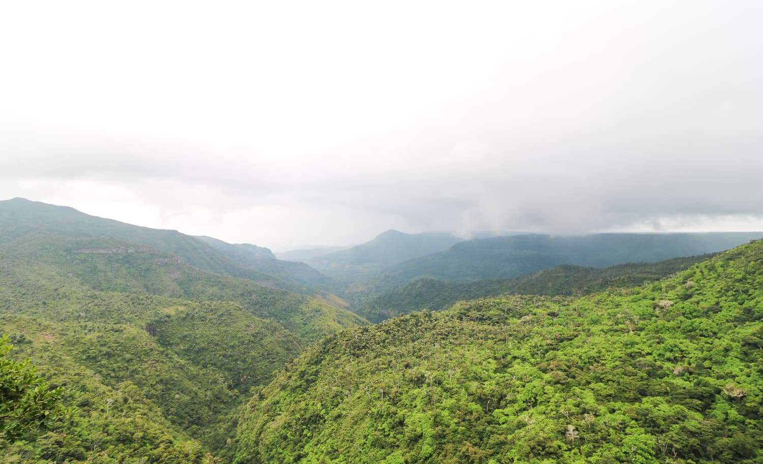 Mauritius Sehenswürdigkeiten & Reisetipps: Black River Nationalpark