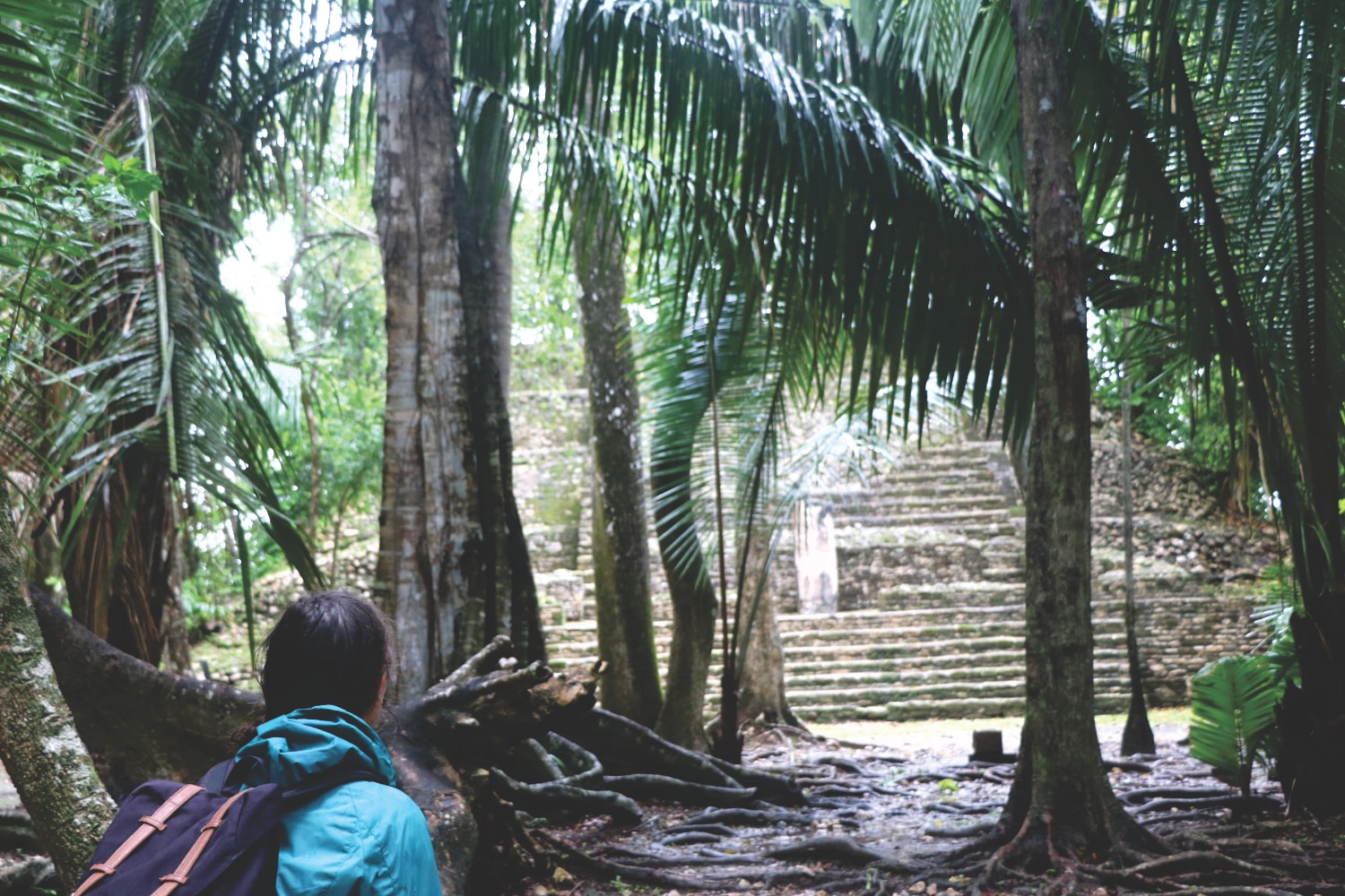 Reisebericht: Im Dschungel der Maya Stätte Lamanai