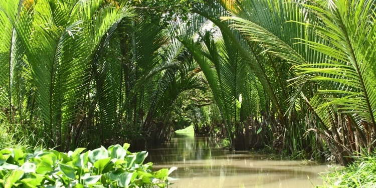 Mekong Delta
