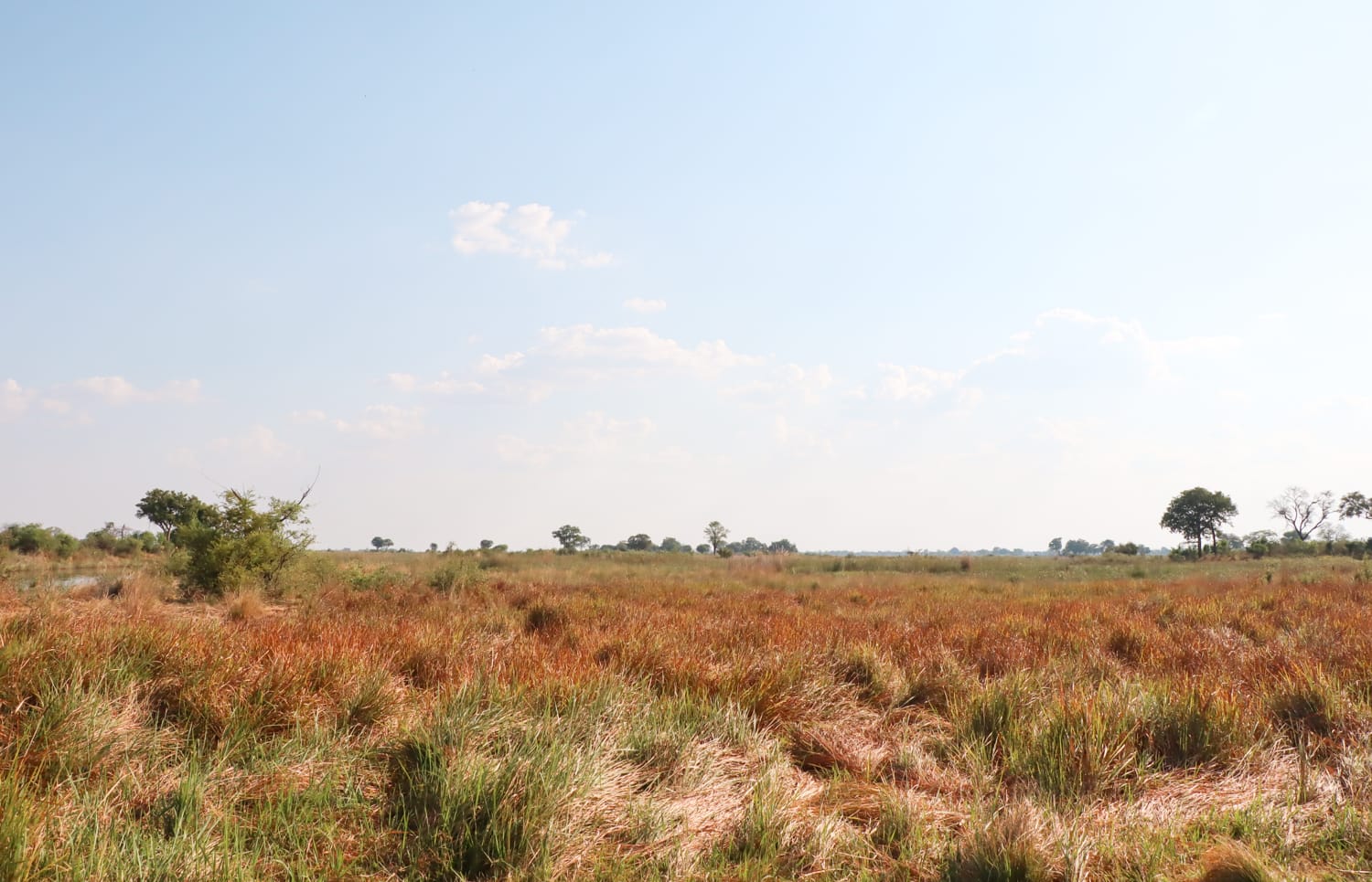 Namibia Campsite: Bwabwata Nationalpark