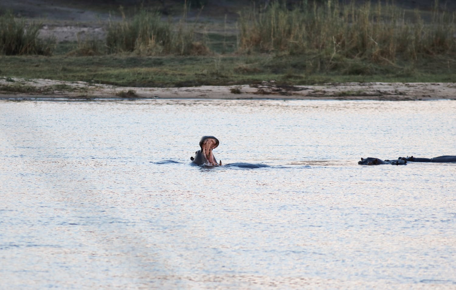 Namibia Campsite und Lodge: Ngepi Camp in Caprivi