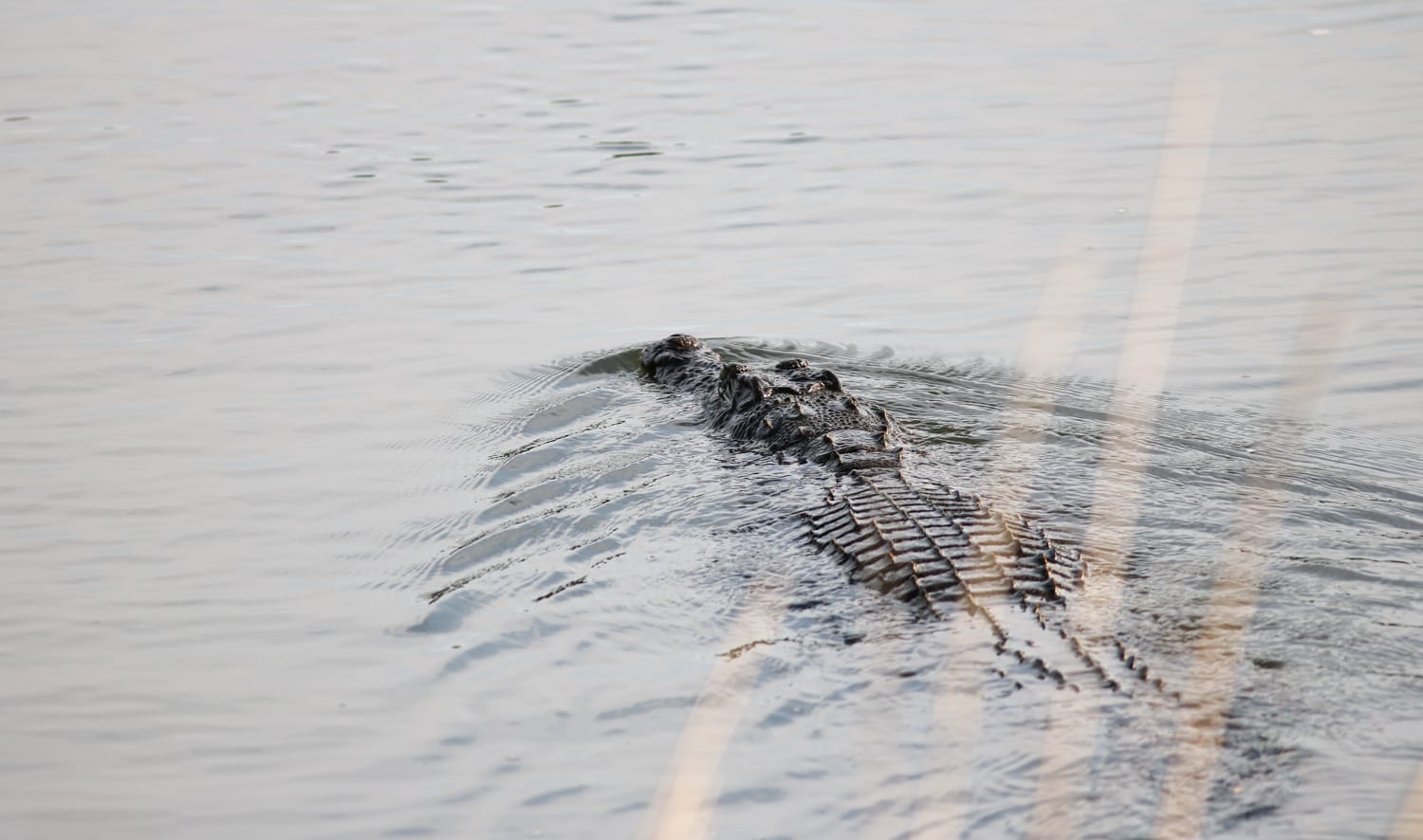 Namibia Campsite und Lodge: Ngepi Camp in Caprivi