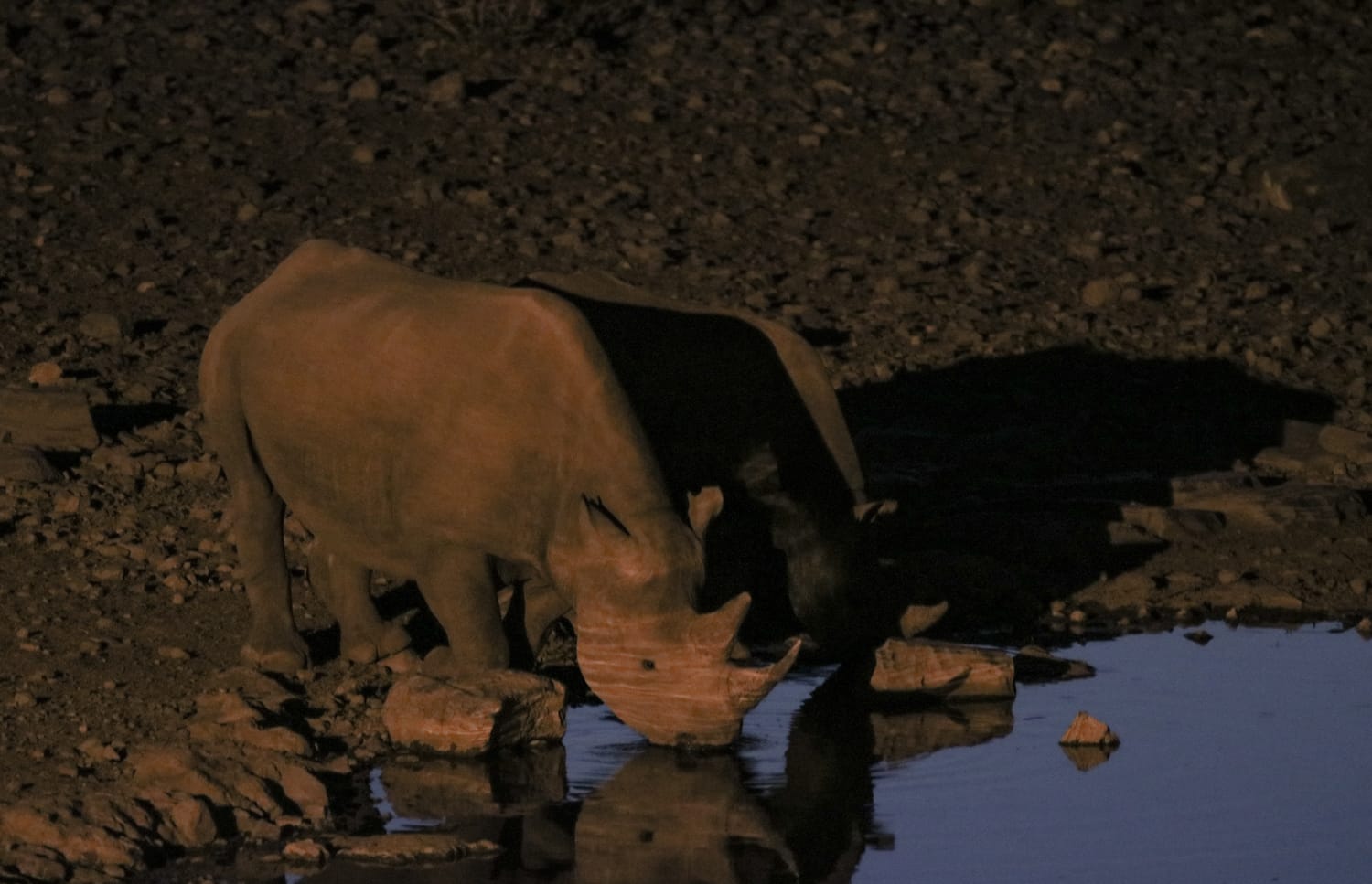 Namibia Campsite und Lodge: Etoscha Nationalpark Halali