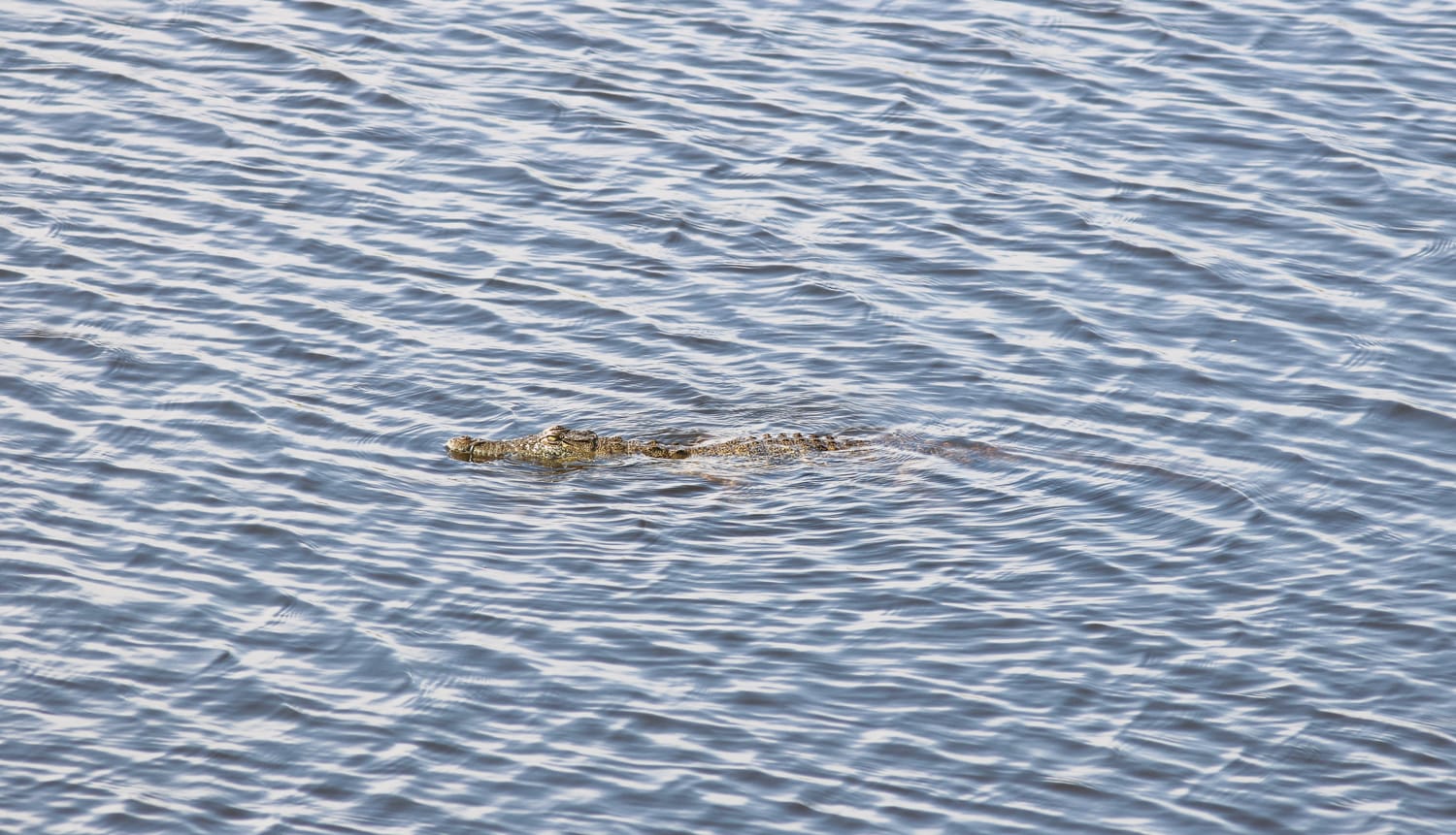 Namibia Lodge: Chobe River Camp